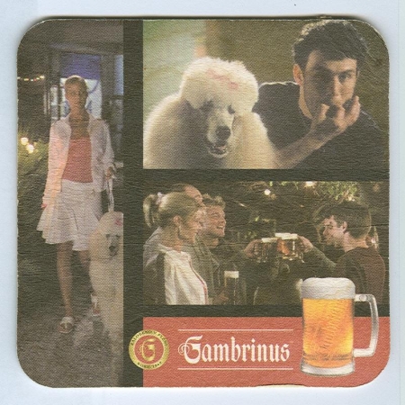 Gambrinus base verso