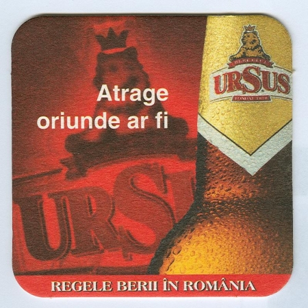 Ursus base verso
